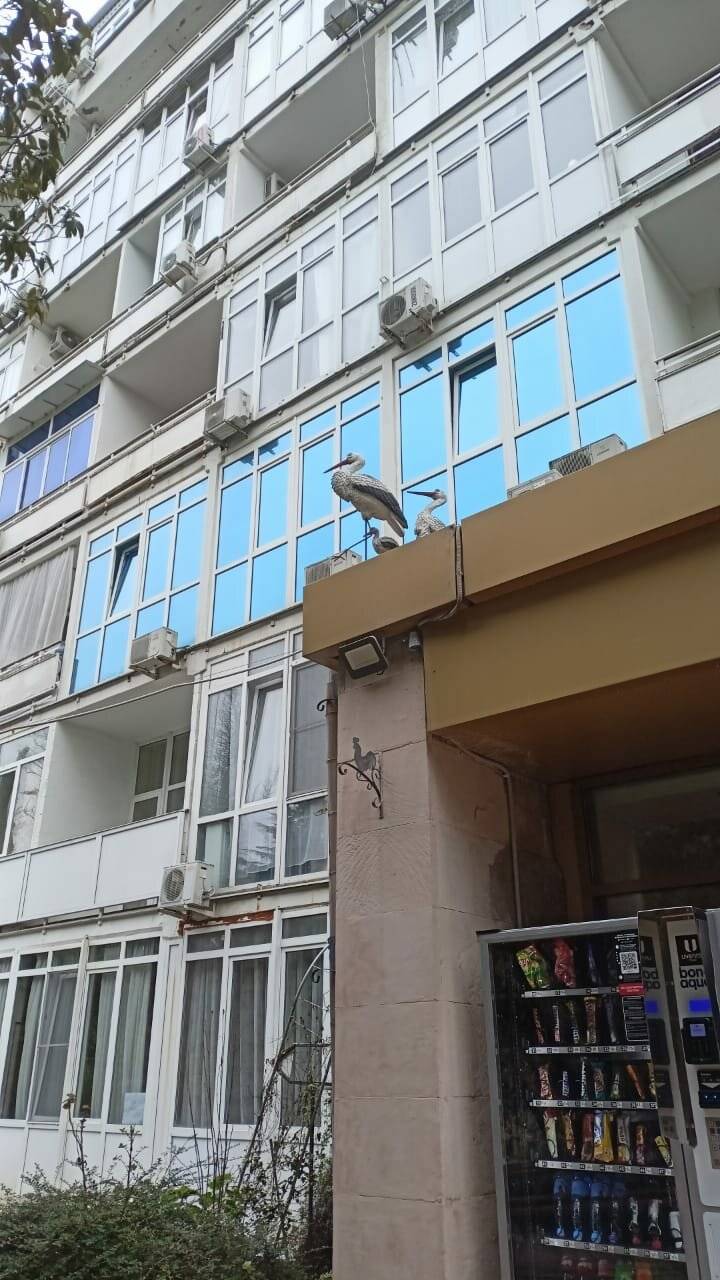 Фото Апартаментов Golden Holiday Сочи 26